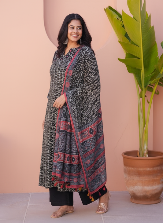 Embroidered Viscose Placement Print Straight Black Kurta