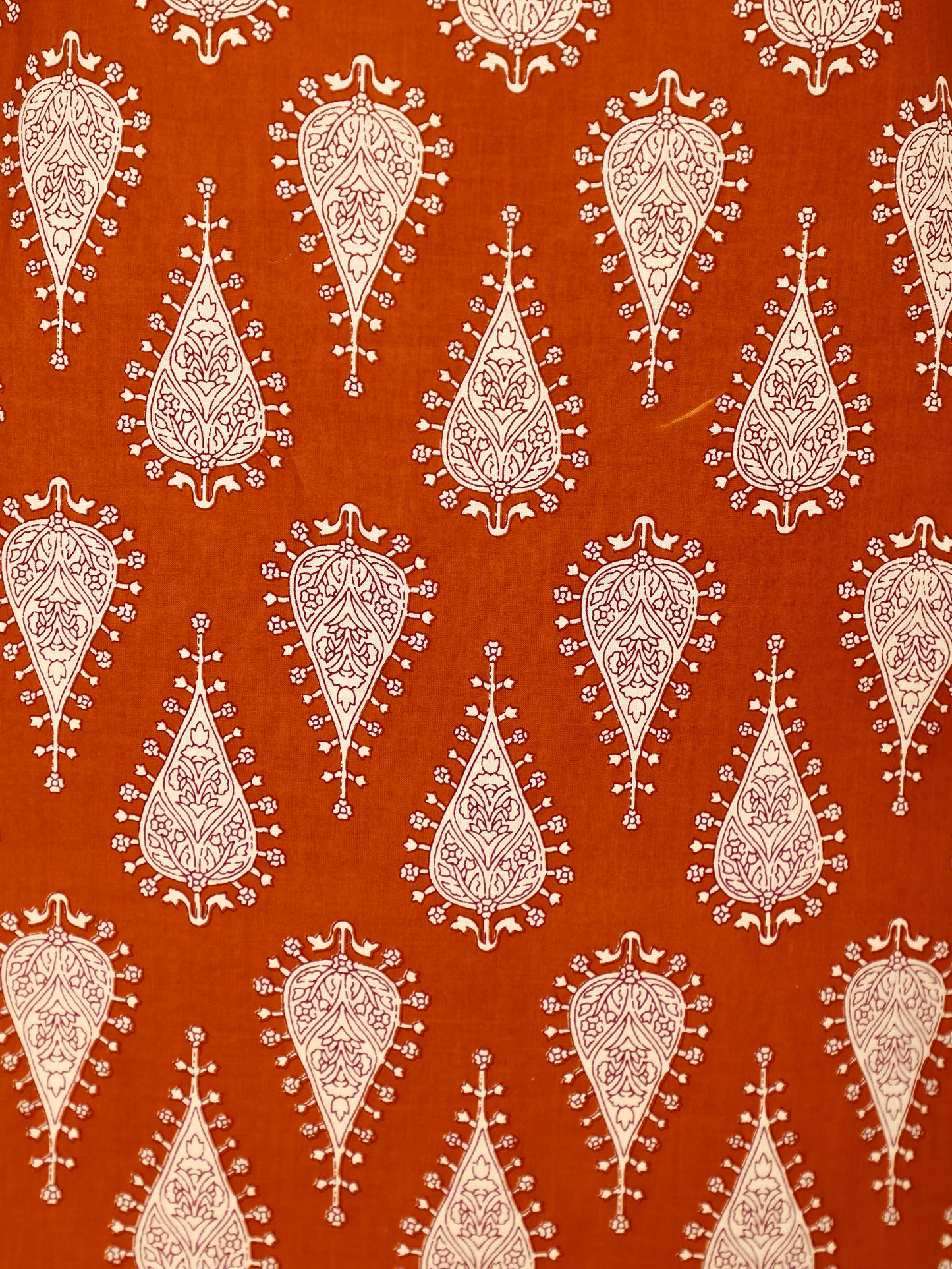 Soft Cotton Floral Straight Rust Orange Kurta