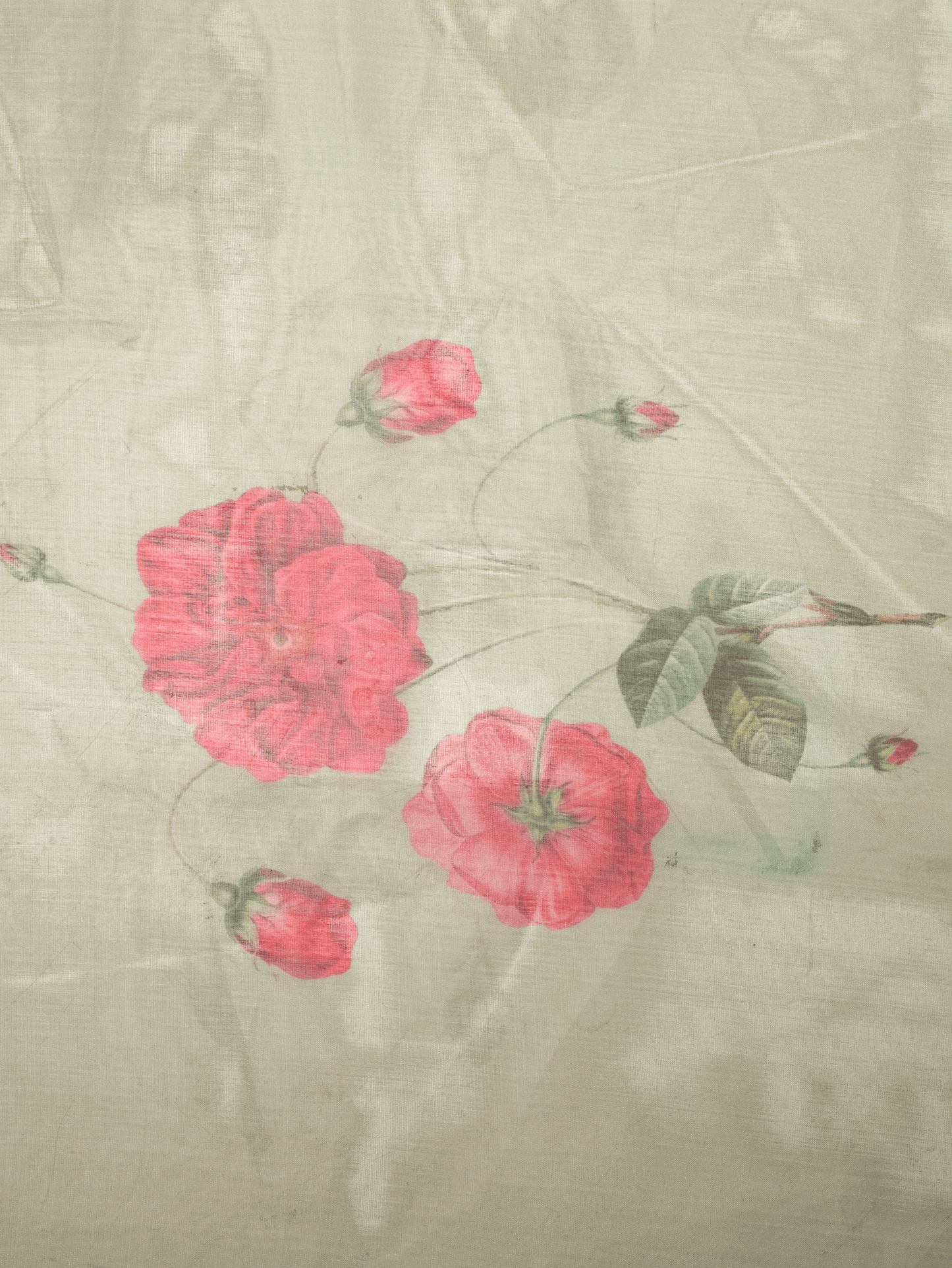 Organza Digital Sage Green Saree