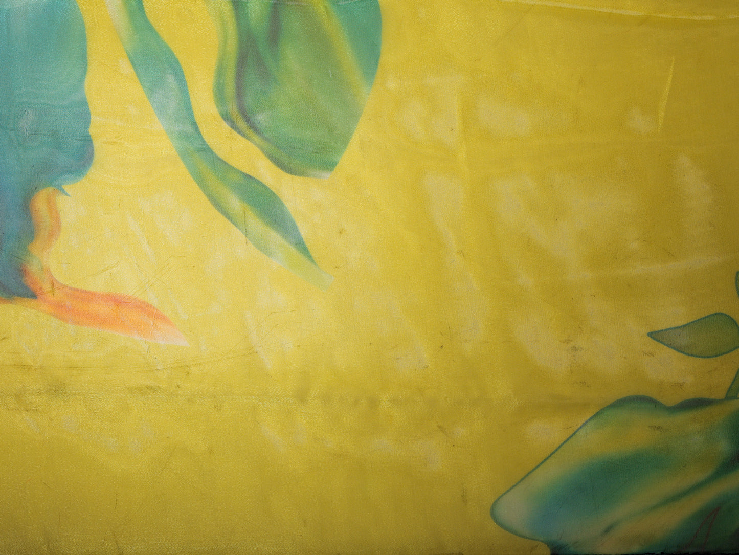 Organza Foliage Lime Green Saree