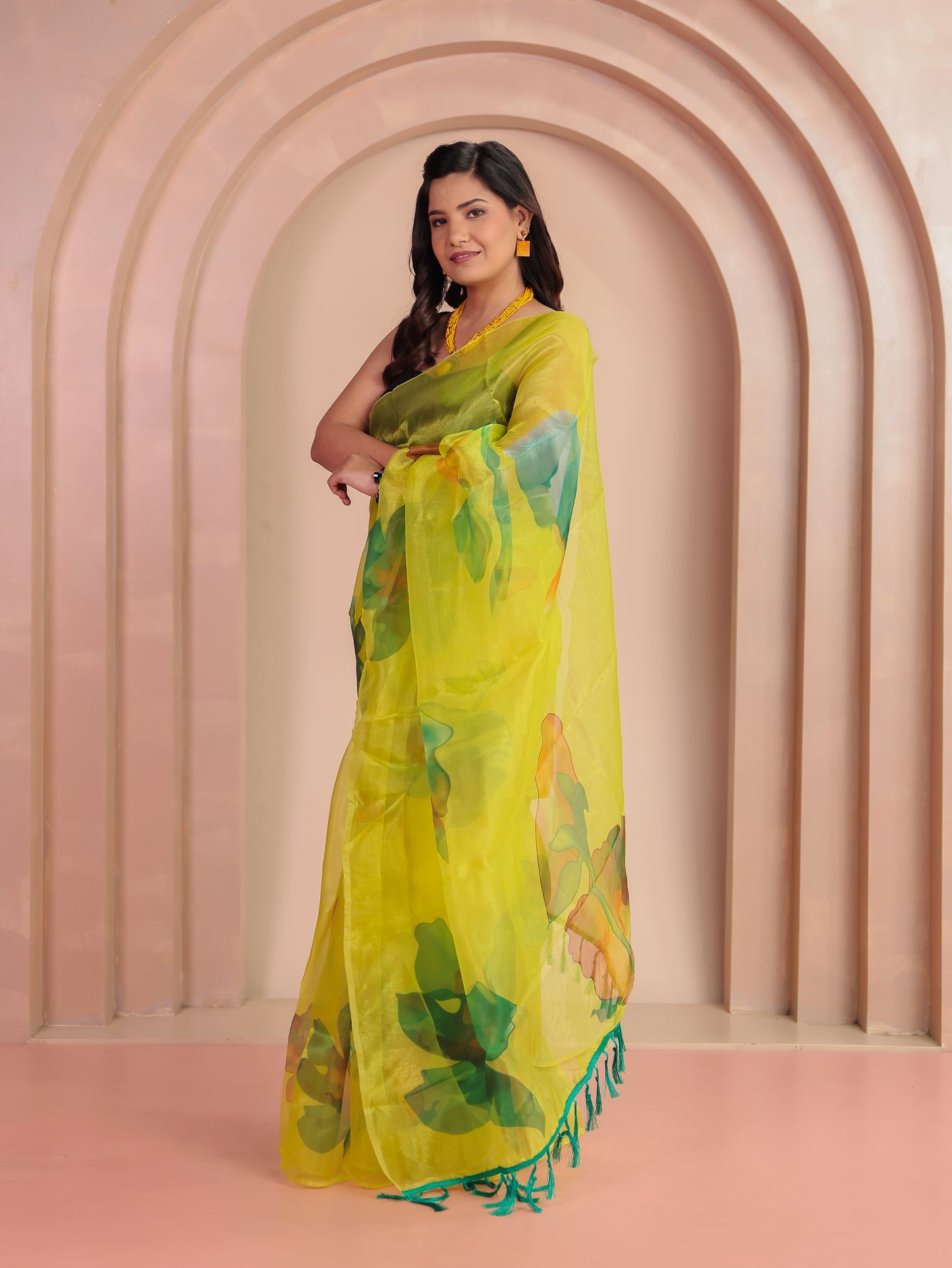 Organza Foliage Lime Green Saree