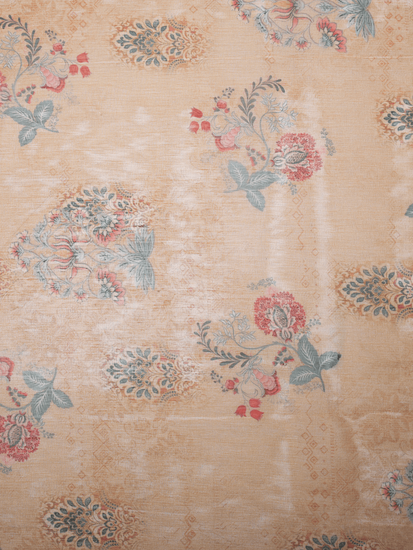 Organza Digital Beige Saree