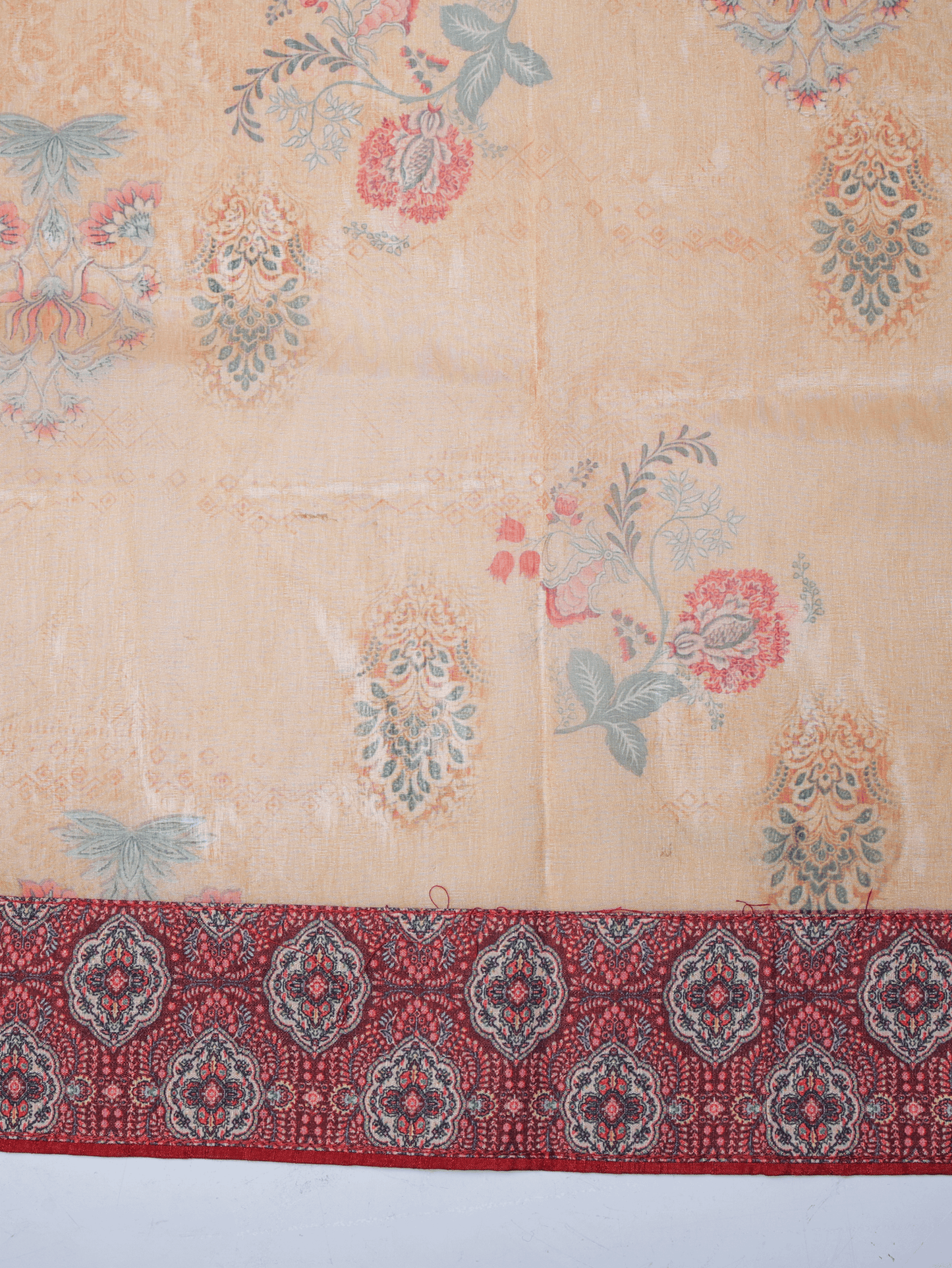 Organza Digital Beige Saree