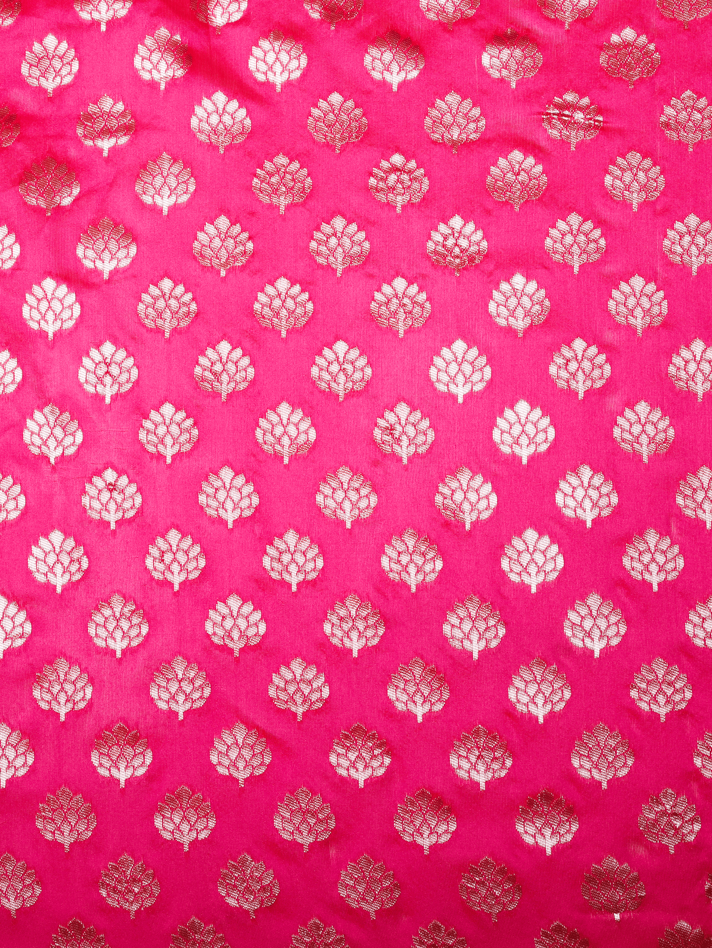 Brocade Fuchsia Saree