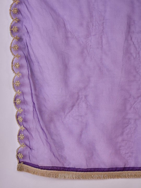 Zari Sequence Embroidered Anarkali Kurta