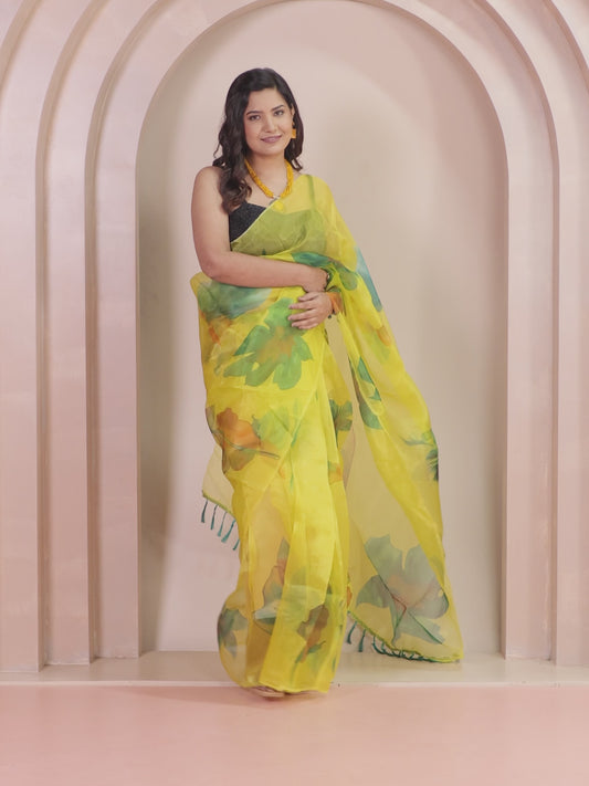 Organza Foliage Lime Green Saree