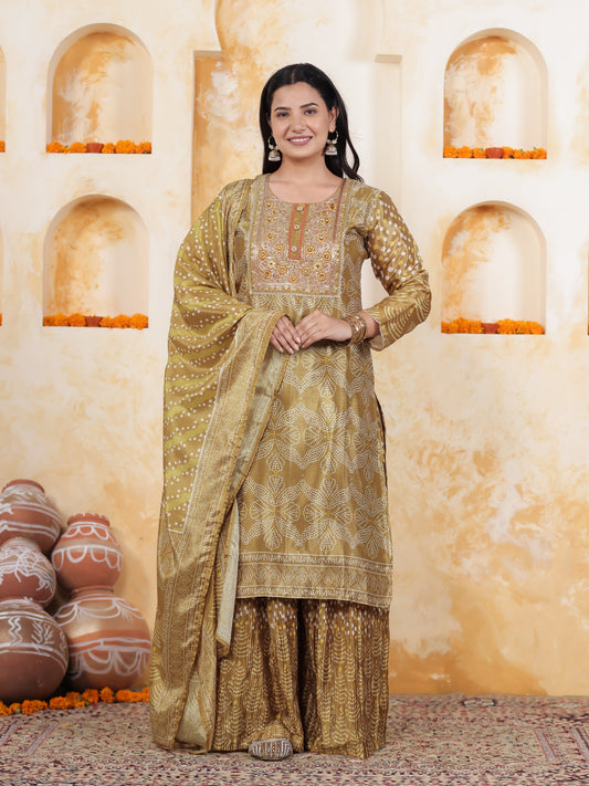 Mirror Embroidery Green Border print Chanderi Straight Kurta